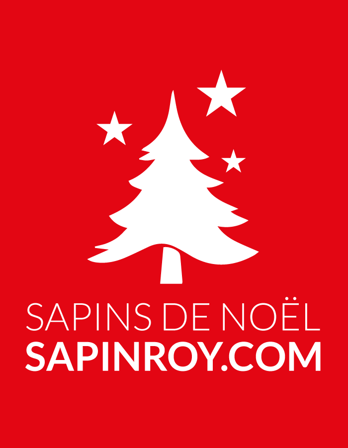 DEMO_sapins_roy_Plan de travail 1 copie 2