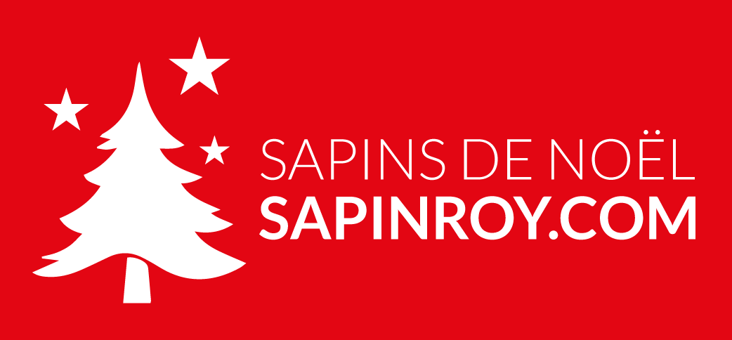 DEMO_sapins_roy_Plan de travail 1 copie 3
